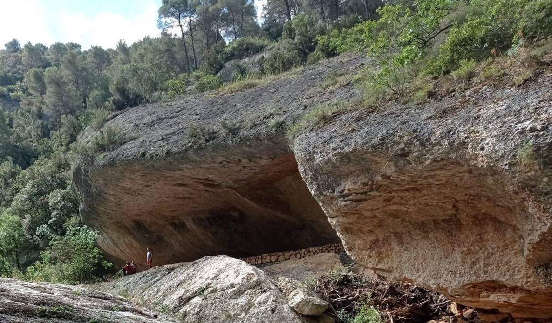 Museu d'Arqueologia de Catalunya tweet media