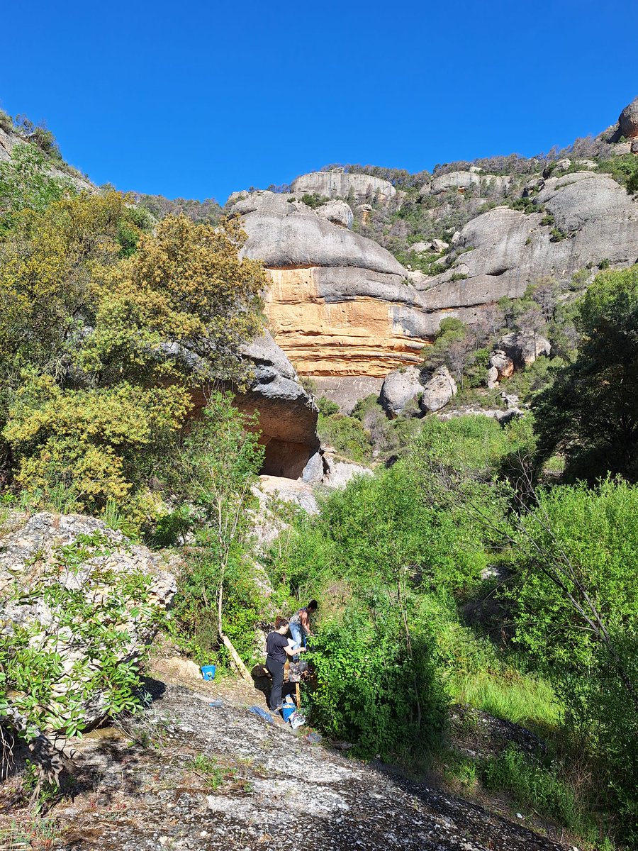 Museu d'Arqueologia de Catalunya (@macarqueologia) on Twitter photo #MACrecerca 🔬 El #MACarqueologia participa activament en la recerca de les Coves del Fem, al Montsant (Tarragona), un jaciment fonamental per entendre la prehistòria del territori. 👇
<a href="/Prehistoria_UAB/">Prehistoria UAB</a> @uabbarcelona <a href="/asd_csic/">Archaeology of Social Dynamics - ASD</a> <a href="/unizar/">Universidad Zaragoza</a> <a href="/patrimonigencat/">Patrimoni</a> #MACrecerca 🔬 El #MACarqueologia participa activament en la recerca de les Coves del Fem, al Montsant (Tarragona), un jaciment fonamental per entendre la prehistòria del territori. 👇
<a href="/Prehistoria_UAB/">Prehistoria UAB</a> @uabbarcelona <a href="/asd_csic/">Archaeology of Social Dynamics - ASD</a> <a href="/unizar/">Universidad Zaragoza</a> <a href="/patrimonigencat/">Patrimoni</a>