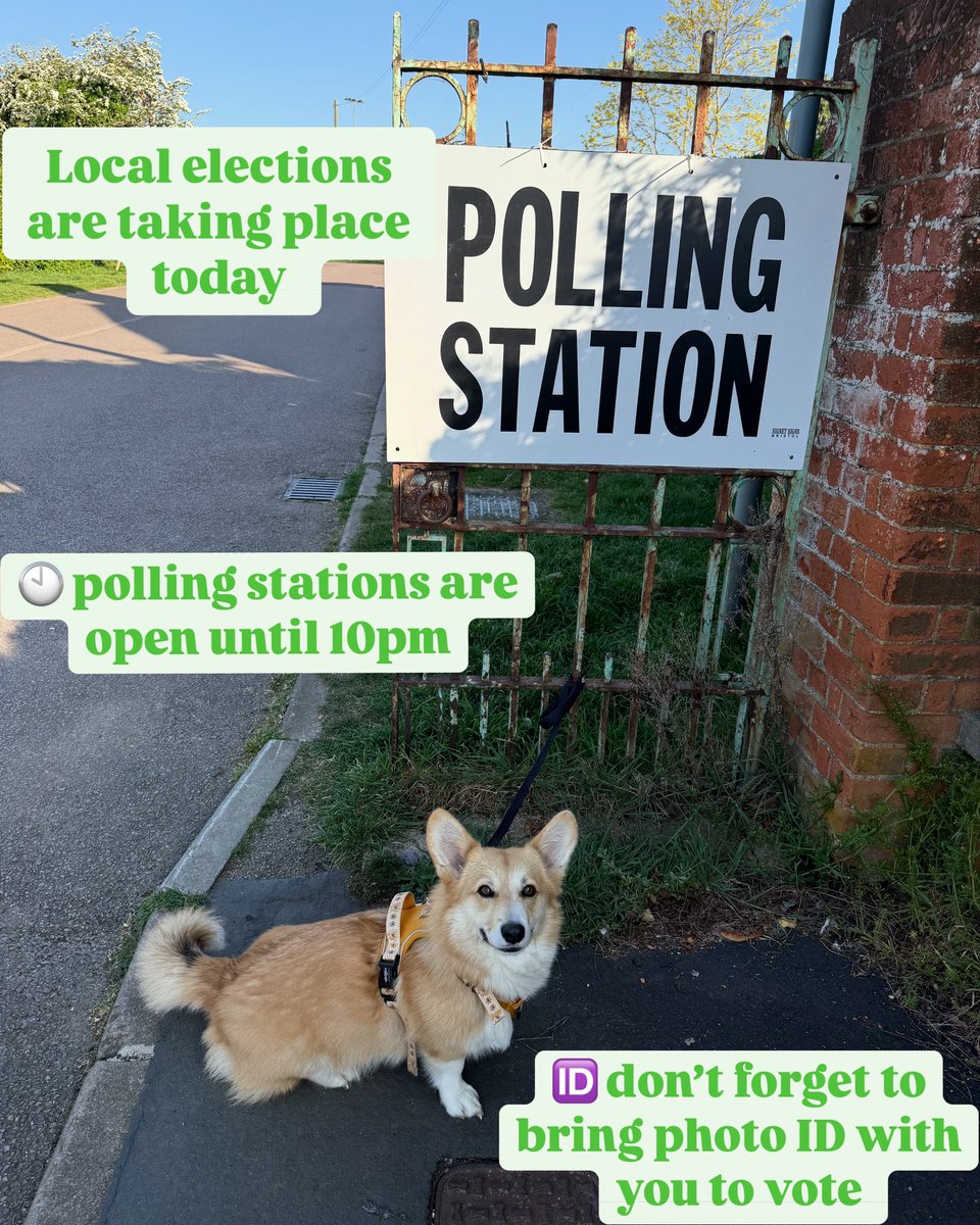 🌞The sun is shining and polling stations are open! Norman was up bright and early to vote.

🆔Don't forget that you need to bring your photo ID with you 

🕙Polling stations close at 10pm

Find out more info here: stevenage.gov.uk/council-and-de…

#dogsatpollingstations