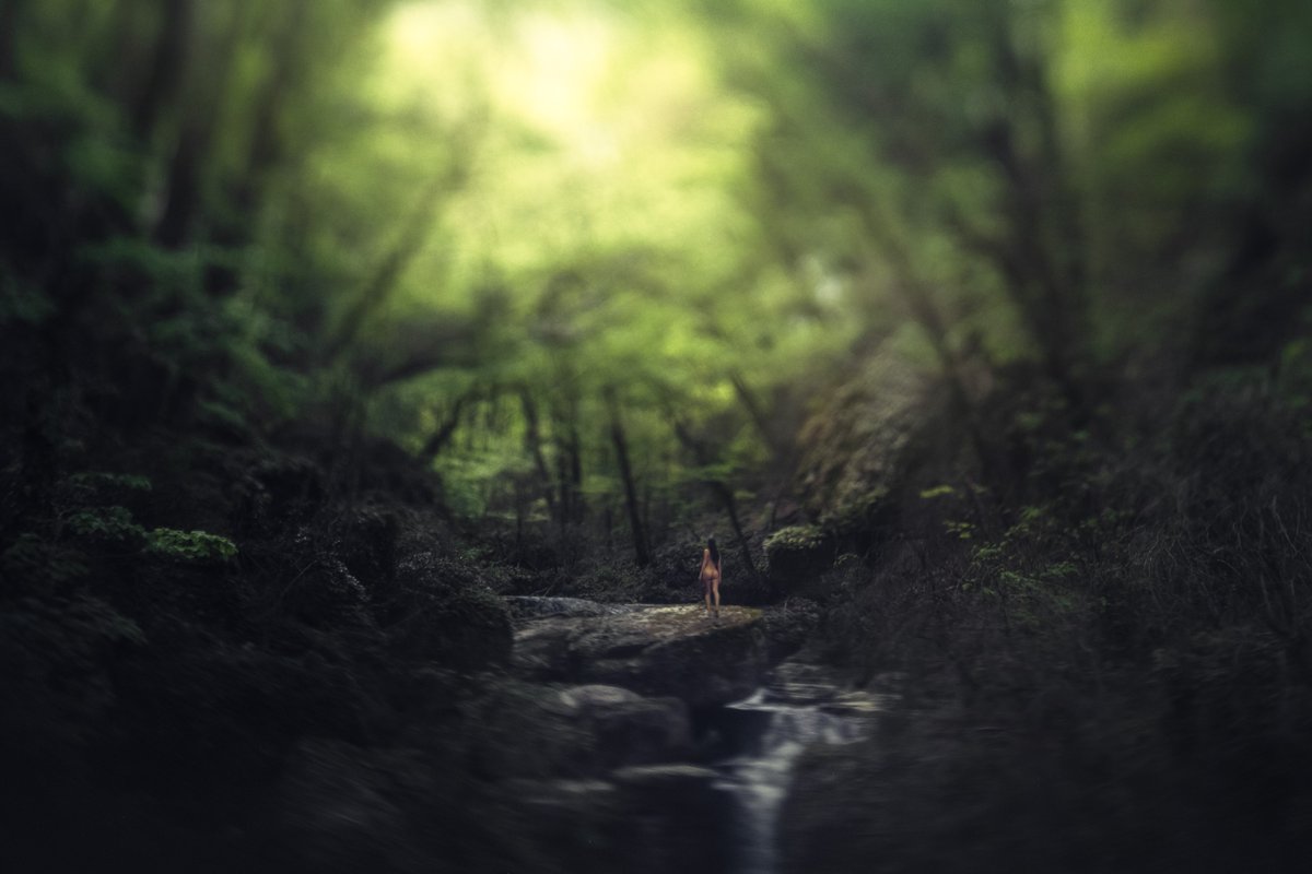 Flou sentimental tweet media