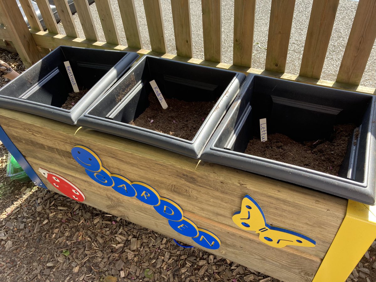 SFE School Support tweet media