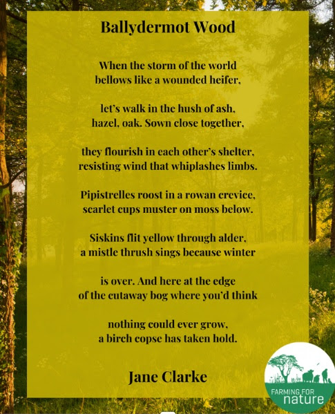 Jane Clarke (@jane_janeclarke) on Twitter photo For Poetry Day Ireland - a new poem featured in the <a href="/farmfornature/">Farming For Nature</a> Bealtaine Newsletter 2025. Inspired by a visit to the native woodland on Farming for Nature Ambassador Ken Gill's farm in Co. Offaly.
<a href="/poetryireland/">Poetry Ireland / Éigse Éireann</a> <a href="/BloodaxeBooks/">Bloodaxe Books</a> For Poetry Day Ireland - a new poem featured in the <a href="/farmfornature/">Farming For Nature</a> Bealtaine Newsletter 2025. Inspired by a visit to the native woodland on Farming for Nature Ambassador Ken Gill's farm in Co. Offaly.
<a href="/poetryireland/">Poetry Ireland / Éigse Éireann</a> <a href="/BloodaxeBooks/">Bloodaxe Books</a>