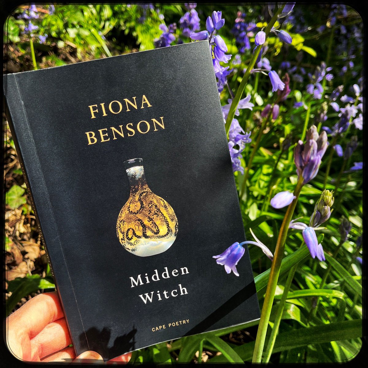 PoetryBookSoc tweet media