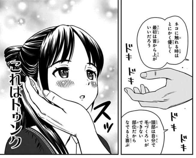 これはトゥンク

#ウィッチウォッチ 
