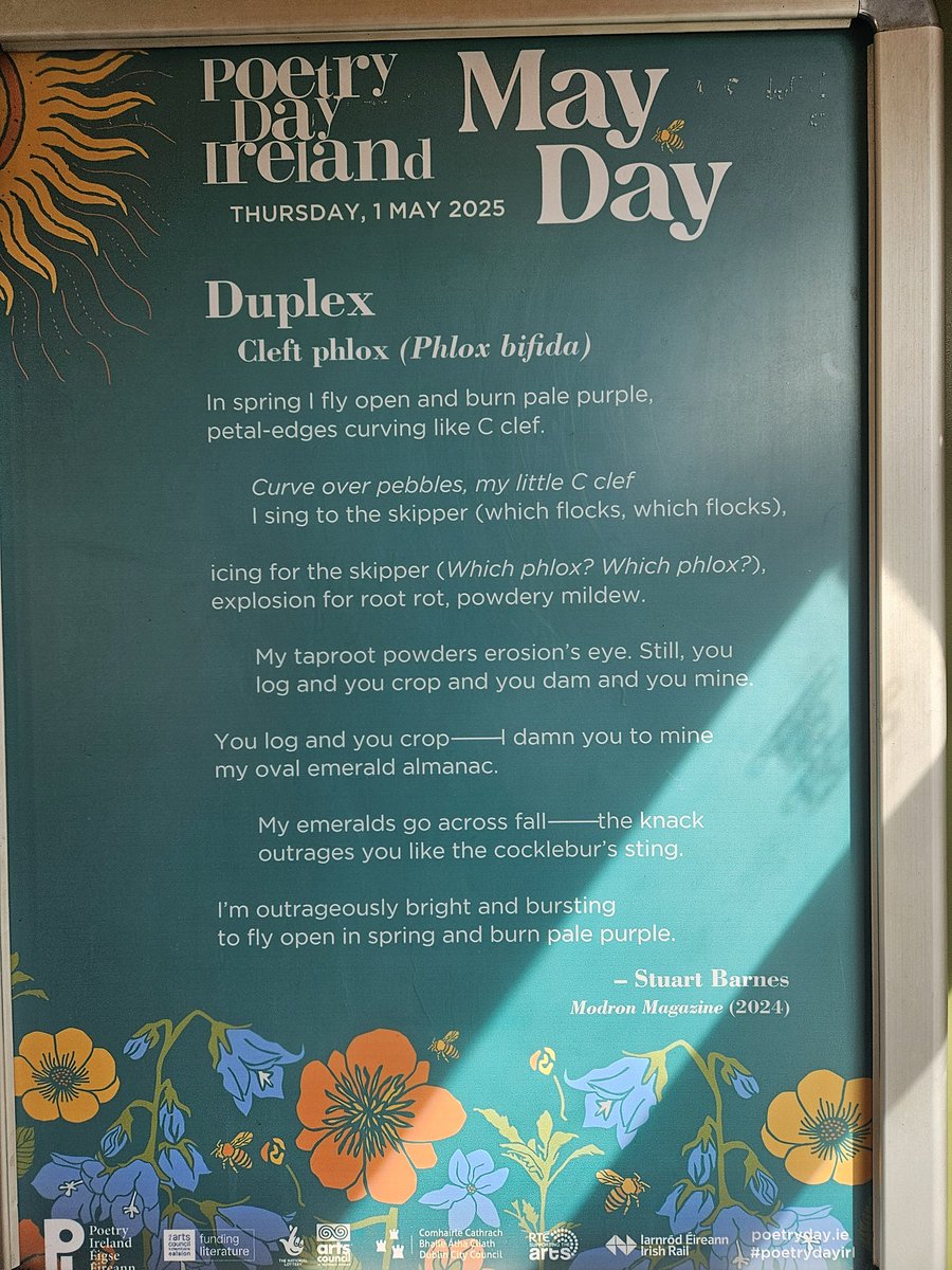 Water Museum of Ireland tweet media