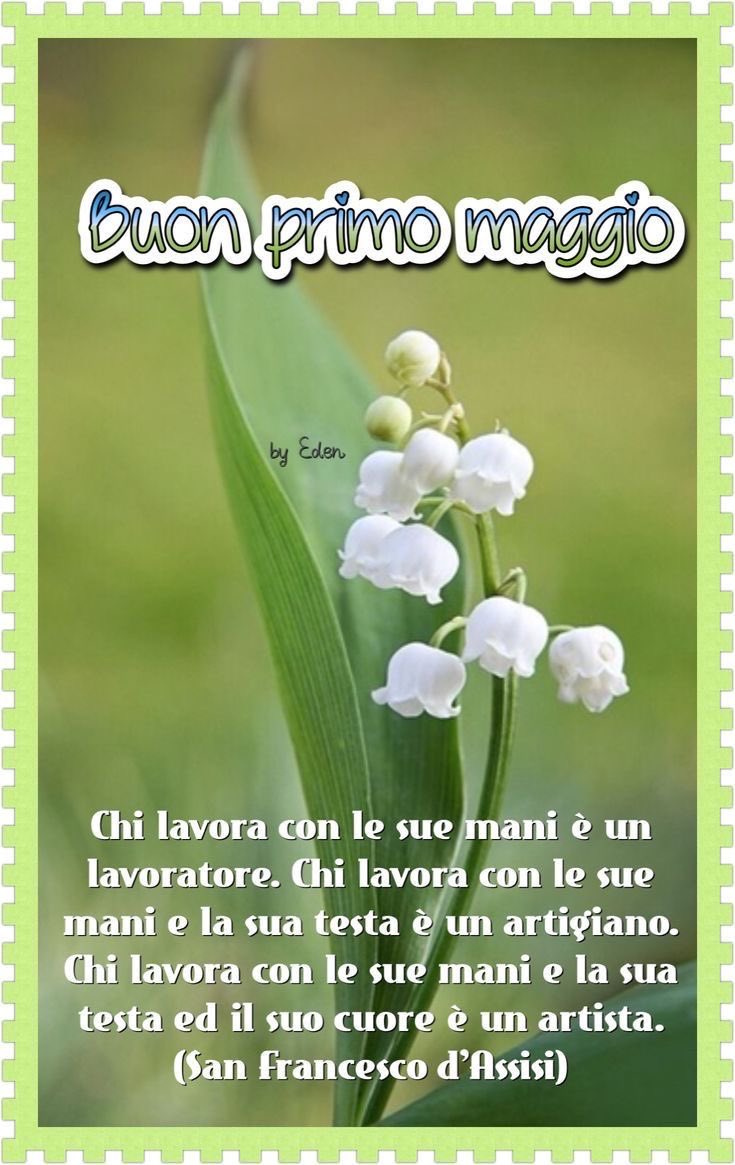 #PrimoMaggio