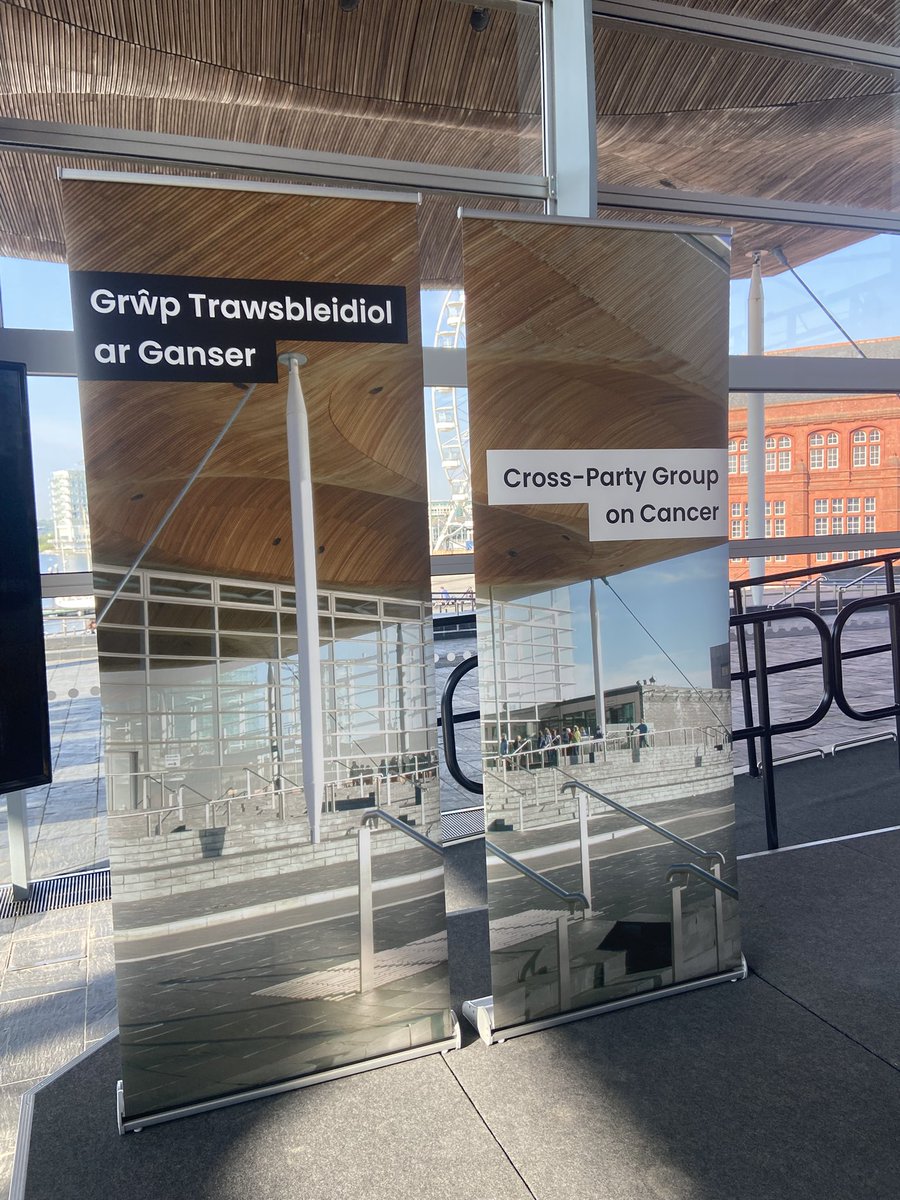 Very excited to be <a href="/SeneddWales/">Welsh Parliament</a> today for Cross Party Group on Cancer event organised by our fabulous <a href="/CRUKCymru/">Cancer Research UK in Wales</a> team ❤️