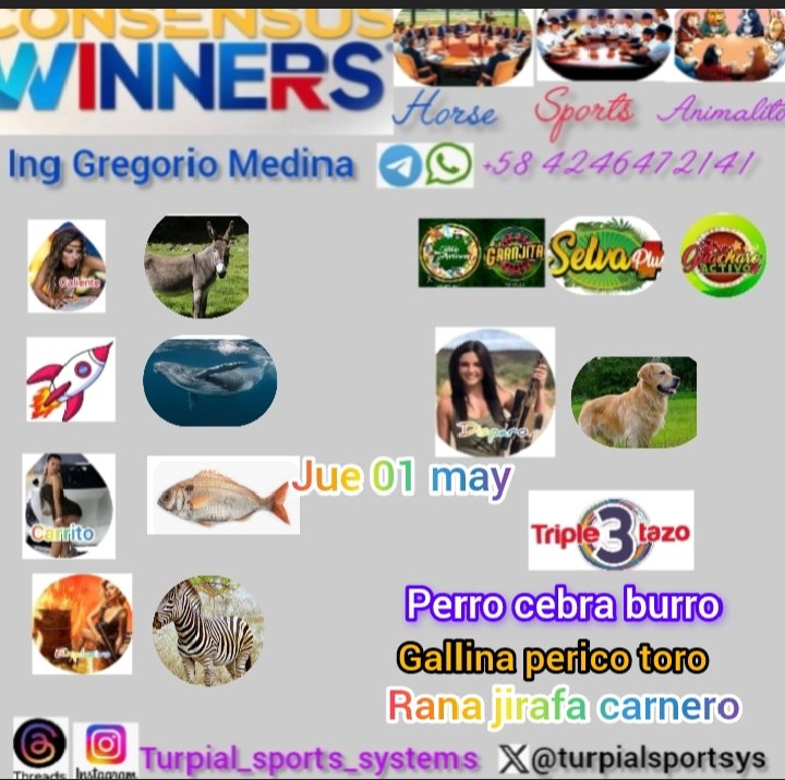 Consensus winners animalitos caliente cohete carrito explosivo disparo tripleta #FelizJuevesATodos #1mayo <a href="/marrpacheco/">rafael pacheco</a> <a href="/m_estiben/">𝕏 Estiben Hernández </a> <a href="/Elgalle16252342/">Robert P.M El gallero</a> <a href="/Micasinocom/">MiCasino.com | Apuestas deportivas</a> <a href="/mastbets365/">MasterBets365 | Apuestas deportivas</a> <a href="/Triunfobet1/">TriunfoBet | Apuestas Deportivas</a> <a href="/parley777/">Parley777 🍀</a>