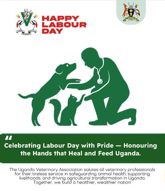 Ugveterinarians's tweet photo. Happy Labour Day!
Today, we honor the hard work and dedication of our members and all Ugandans. As veterinarians, your labor of love contributes significantly to animal welfare, public health, and national development.

We're proud of your achievements and commitment to improving the lives of animals and people. May this Labour Day bring you rest, relaxation, and inspiration to continue making a difference.
#LabourDay #LabourDay2025
