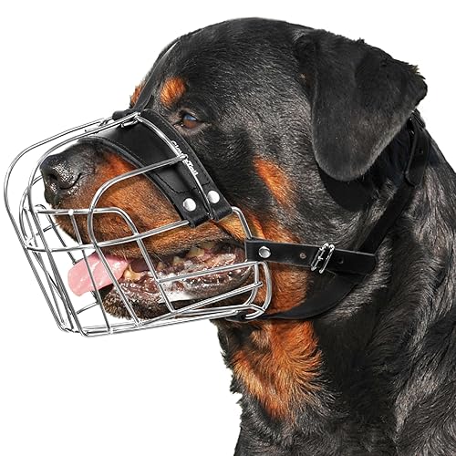An item on my Throne wishlist just got fully funded: CleverTail Extra Large Dog Muzzle for Rottweiler – XL Heavy Duty Rottweiler Muzzle – Metal Large Dog Muzzle for Barking and Biting for Rottweiler, Cane Corso, Masti. Thank you! throne.com/ayamebee #Wishlist #Throne