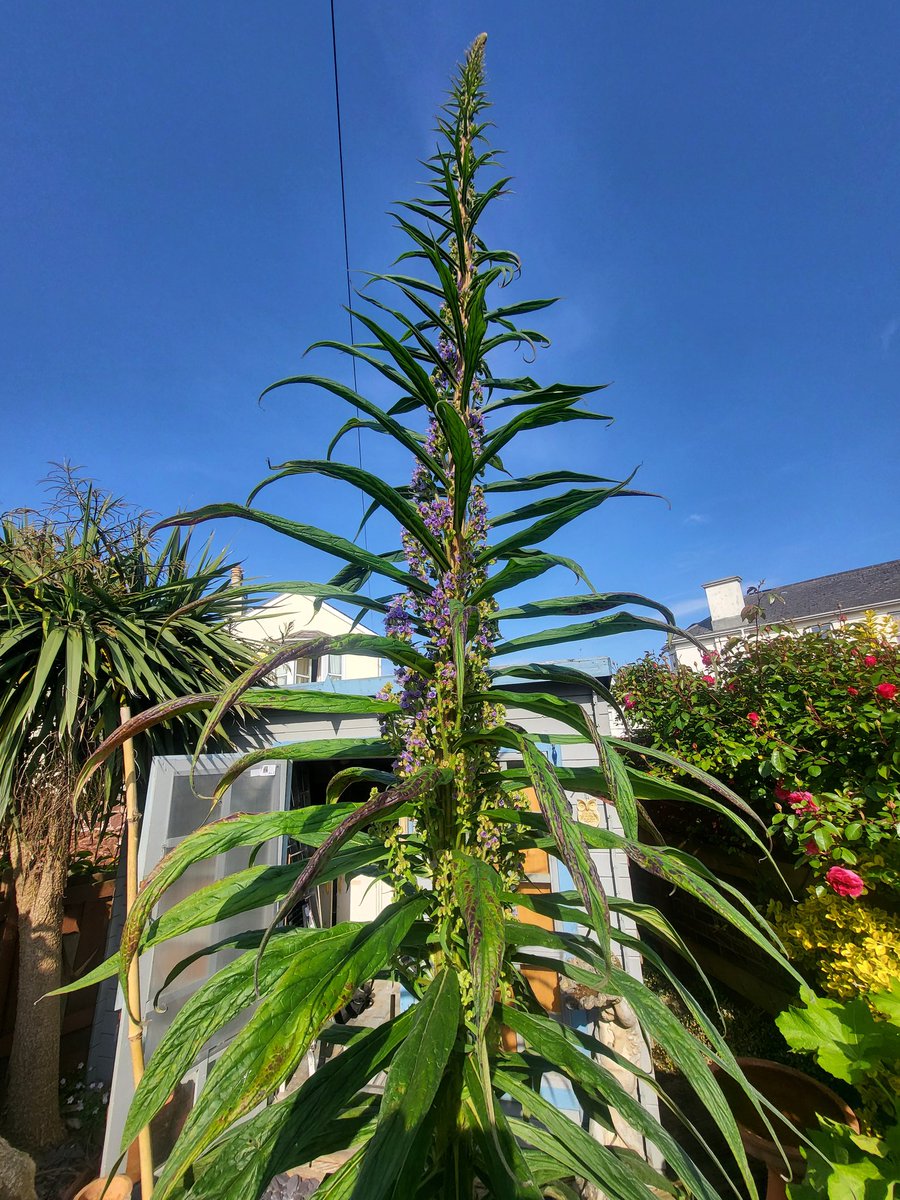 Mike 🇬🇧 tweet media