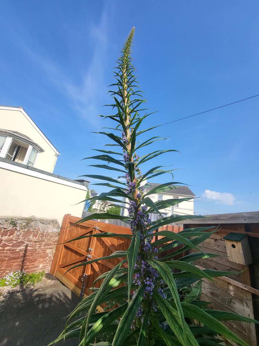 Mike 🇬🇧 tweet media