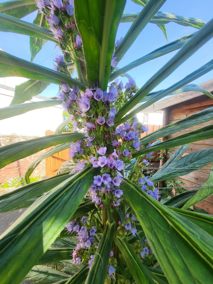 Mike 🇬🇧 tweet media