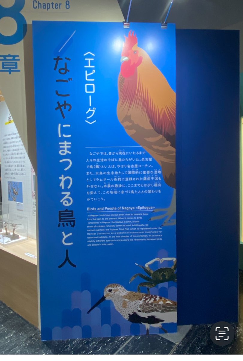 calico_e_c's tweet photo. 名古屋で鳥展を見てから有馬温泉
金泉、銀泉で癒されます https://t.co/tcBWrEVNEq