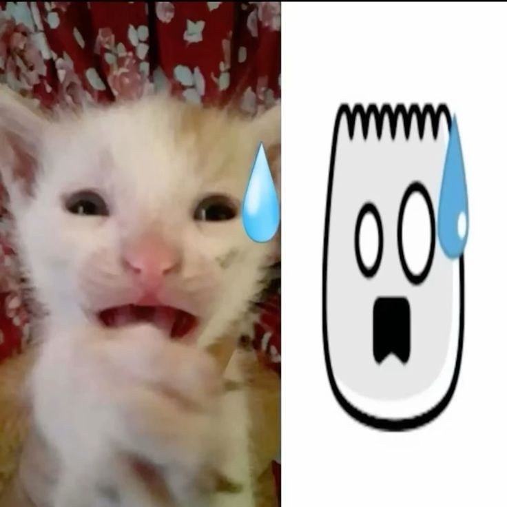 ffallinluvagain's tweet photo. lo extraño mxo:(( https://t.co/efDzZ3wuul