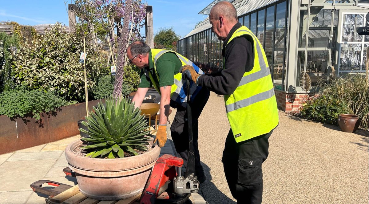 Yesterday, we transported a remarkable plant to Rutland Nursery - a Queen Victoria agave that’s been growing for 40 years.
This succulent is incredibly rare in the UK when in bloom. It flowers once in its lifetime before dying.
<a href="/royalhorti/">Royal Horticulture</a> <a href="/bbcmtd/">BBC Midlands</a> <a href="/BBCWorld/">BBC News (World)</a> <a href="/RutStamSound/">Rutland & Stamford Sound</a>