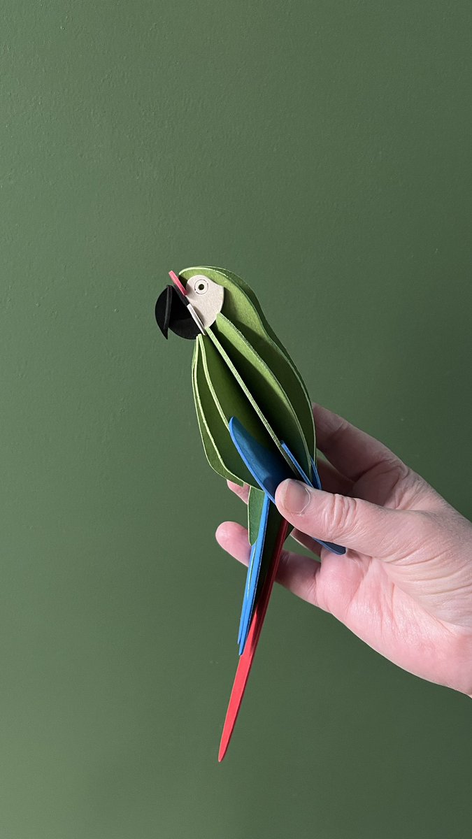 Eingeflogen 🦜💕