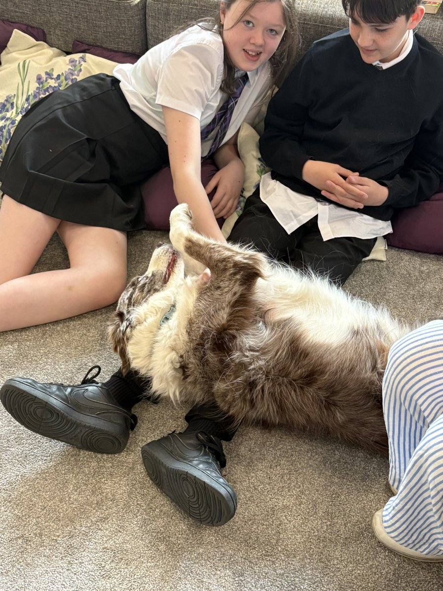 SinclairLanEtho's tweet photo. Bonnie our therapy dog looking very relaxed and enjoying her morning session with some of our S1 pupils π₯°π€£πPerfect way to start the day- dogs and reading! πΎ ππ #TherapyDog #ReadingToDogs
@CanineConcern @wlsinclair_ac https://t.co/8HiTh9YSVM