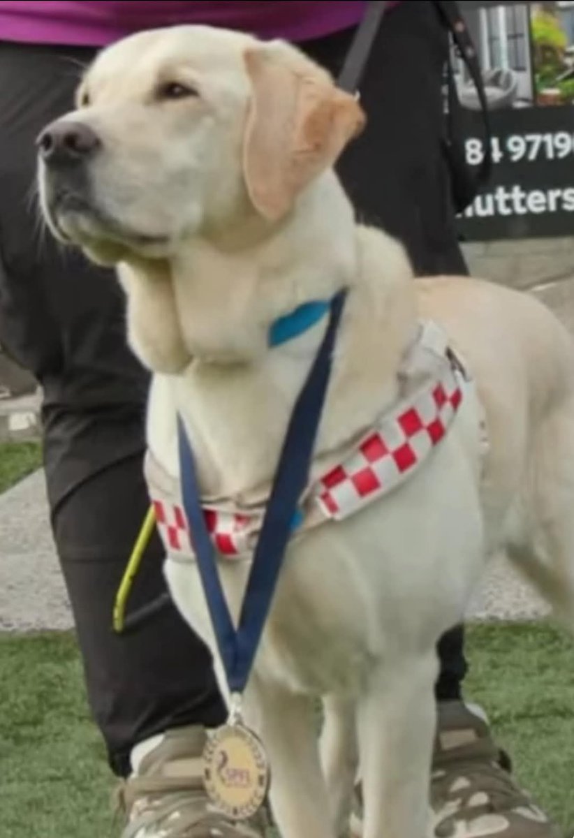 Guide Dogs Scotland (@guidedogsscot) on Twitter photo We are at <a href="/SFootballMuseum/">Scottish Football Museum</a> today, celebrating the launch of Following Sam and paying tribute to a history-making guide dog.
<a href="/JonAttenborough/">Jon Attenborough</a> We are so proud of what you and Sam achieved together. A hugely inspiring story of how two best friends conquered the 42!ย ๐ฆฎ๐ We are at <a href="/SFootballMuseum/">Scottish Football Museum</a> today, celebrating the launch of Following Sam and paying tribute to a history-making guide dog.
<a href="/JonAttenborough/">Jon Attenborough</a> We are so proud of what you and Sam achieved together. A hugely inspiring story of how two best friends conquered the 42!ย ๐ฆฎ๐