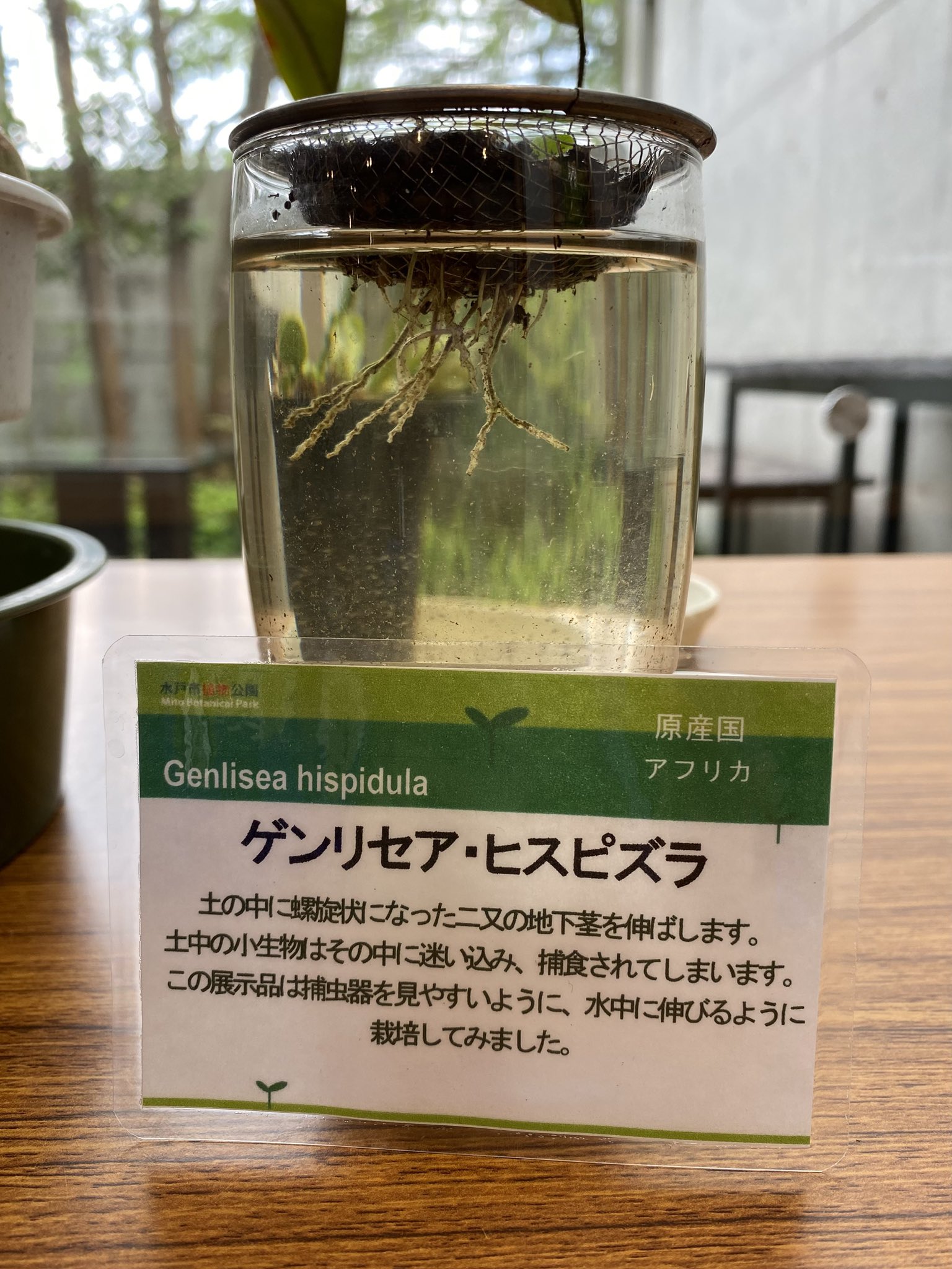 Gp2d7PXaoAAB4-I.jpg:large