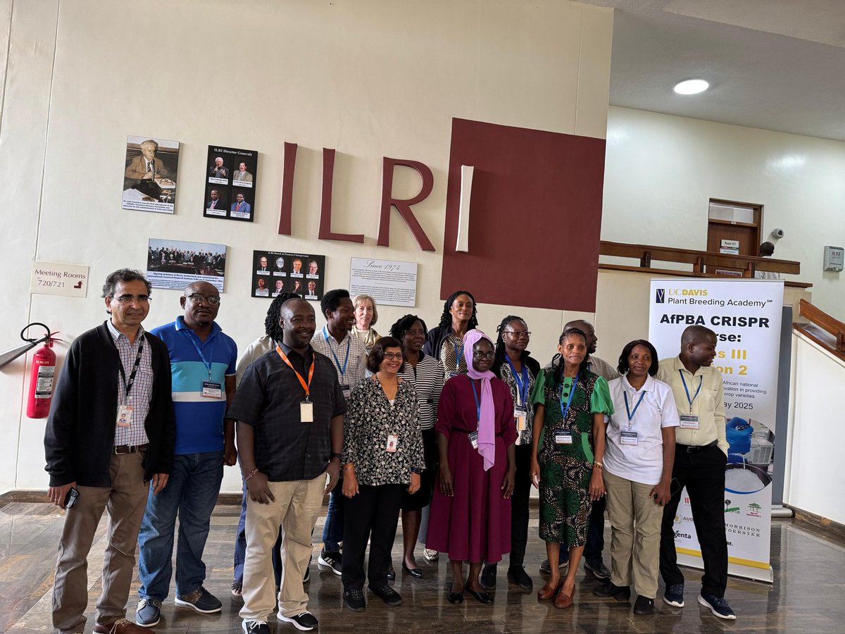 IITA_CGIAR's tweet image. We’re back — &amp;amp; this time, it’s hands-on! 
The 2nd session of AfPBA CRISPR Course Class III has is now in full swing! Hosted by IITA, Kenya, in partnership with @ucdavis, @UCBerkeley &amp;amp; other African Orphan Crops Consortium (AOCC) partners.
.
#CRISPR #Breeding #AgResearch