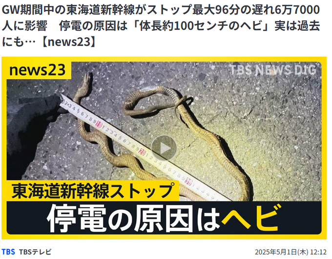 GW期間中の東海道新幹線が一時、東京ー新大阪間で運転を見合わせました。最大96分の遅れが出て、6万7000人に影響が出ています。岐阜羽島駅と米原駅の間で発生した停電によるものですが、その原因は「体長約100センチのヘビ」でした。

JR東海が公開した写真に写っているのはヘビです。電気設備の点検を行っていたところ、架線に引っかかっていたそうで、このヘビが停電の原因だということです。

実はヘビによる停電は過去にも起きています。
2021年、愛知県JR豊橋駅の映像で、作業員が持つ棒の先に巻き付いているのはヘビです。これにより新幹線は約15分間ストップしました。

また、2023年に東北新幹線で発生した停電も架線にヘビが巻き付いたことが原因でした。
ヘビによる停電で最大1時間36分の遅れがでて、約6万7000人に影響がでました。
https://newsdig.tbs.co.jp/articles/-/1887985