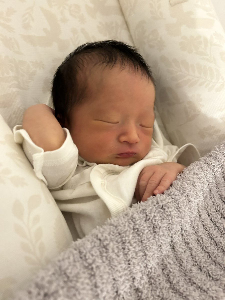 岩武克弥 tweet media