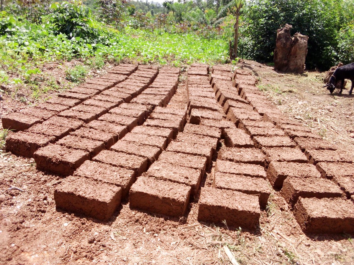 Musenyiyouth's tweet photo. #Musenyisector,urubyiruko rwakoze umuganda wo kubumba amatafari 250 yo kubakira umuturage igikoni witwa Donatile utuye mu kagali ka gicaca,umudugudu wa kidudu. https://t.co/DM8qNMSaOZ