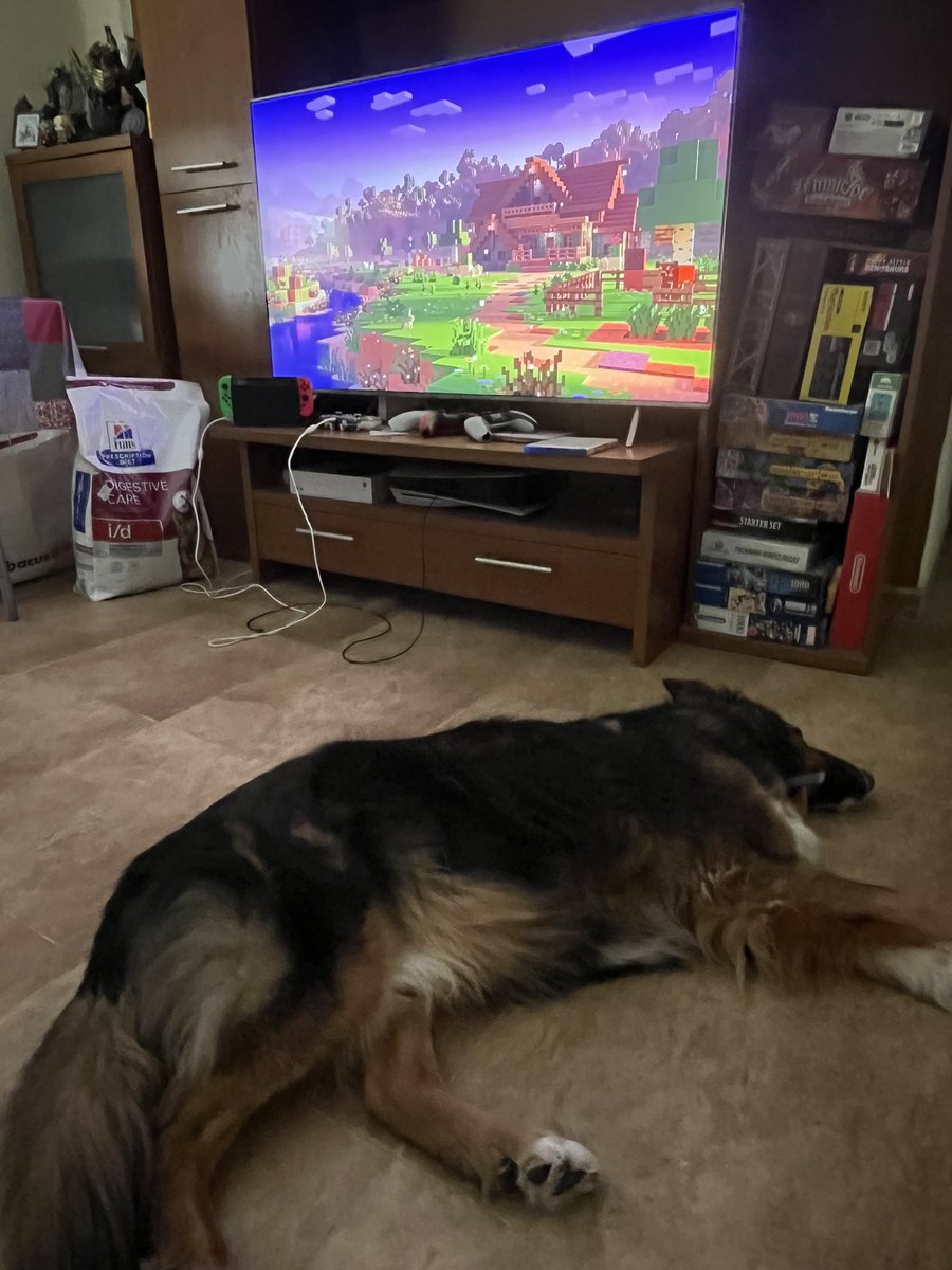 Sara Costa (@isubka) on Twitter photo Discovering the collaboration between Minecraft and <a href="/andrewprahlow/">Andrew Prahlow</a> made my day ❤️ Today, I found out Sam enjoys it just as much as I do! He’s so happy and relaxed 🥹🥹 Discovering the collaboration between Minecraft and <a href="/andrewprahlow/">Andrew Prahlow</a> made my day ❤️ Today, I found out Sam enjoys it just as much as I do! He’s so happy and relaxed 🥹🥹