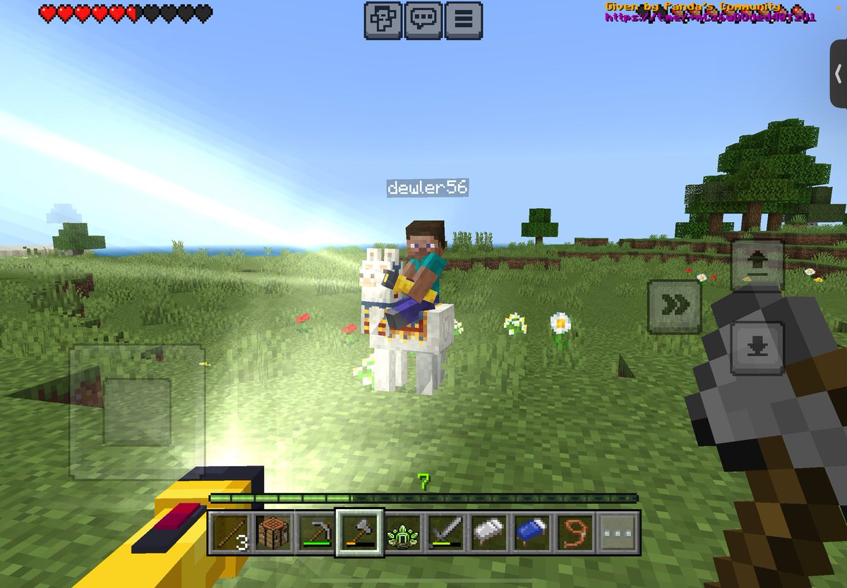 youngjempty's tweet image. steve