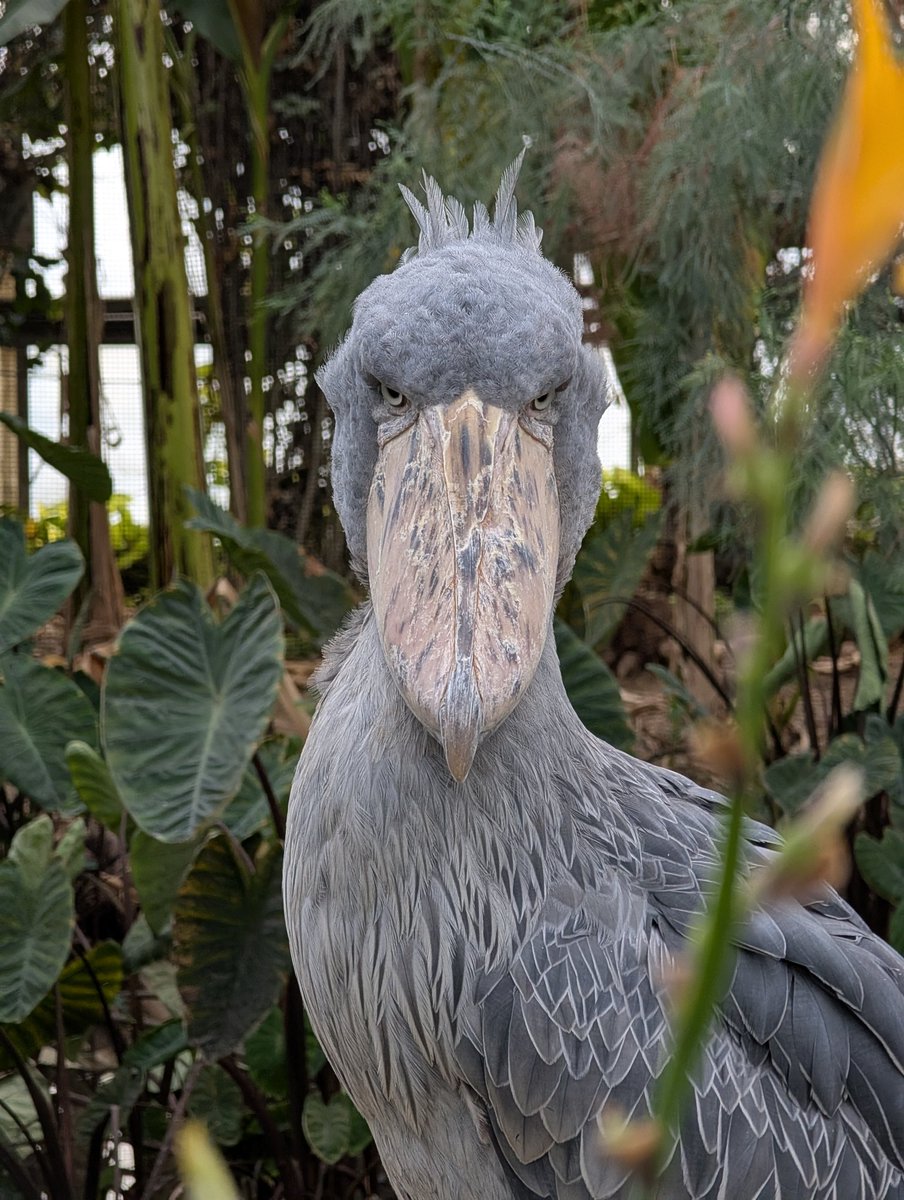 太太：最近有拍女儿好看的大头照吗
我： （照片发送