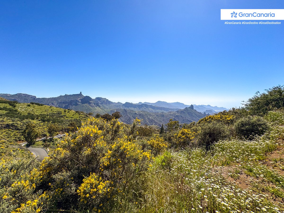 Hello, #May! 🌺🌼 We wish you a happy day from #GranCanaria! ❤️ #SoMuchToLiveFor