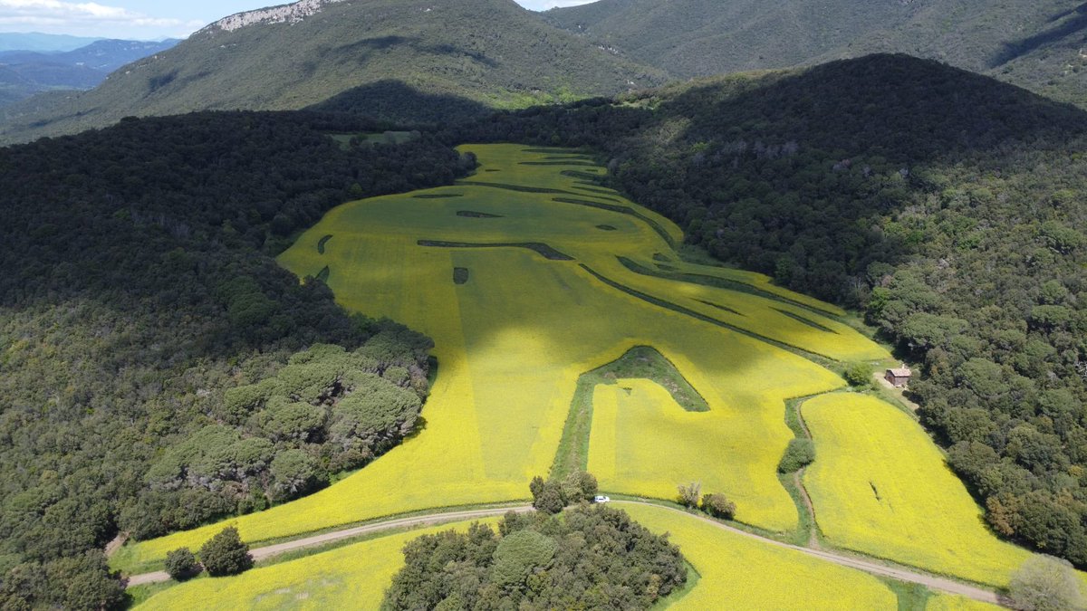 AgroSALVI,S.L. tweet media