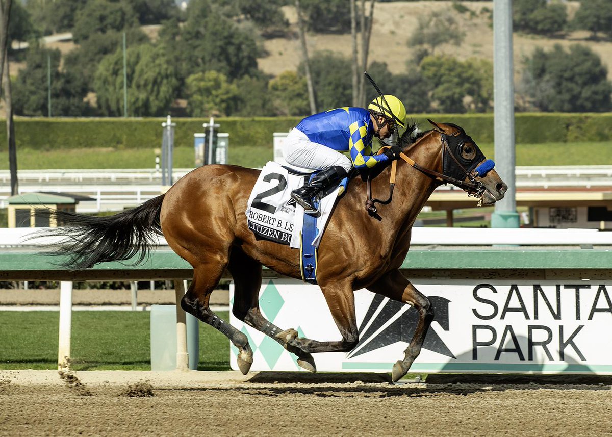Kentucky Derby 2026 tweet media