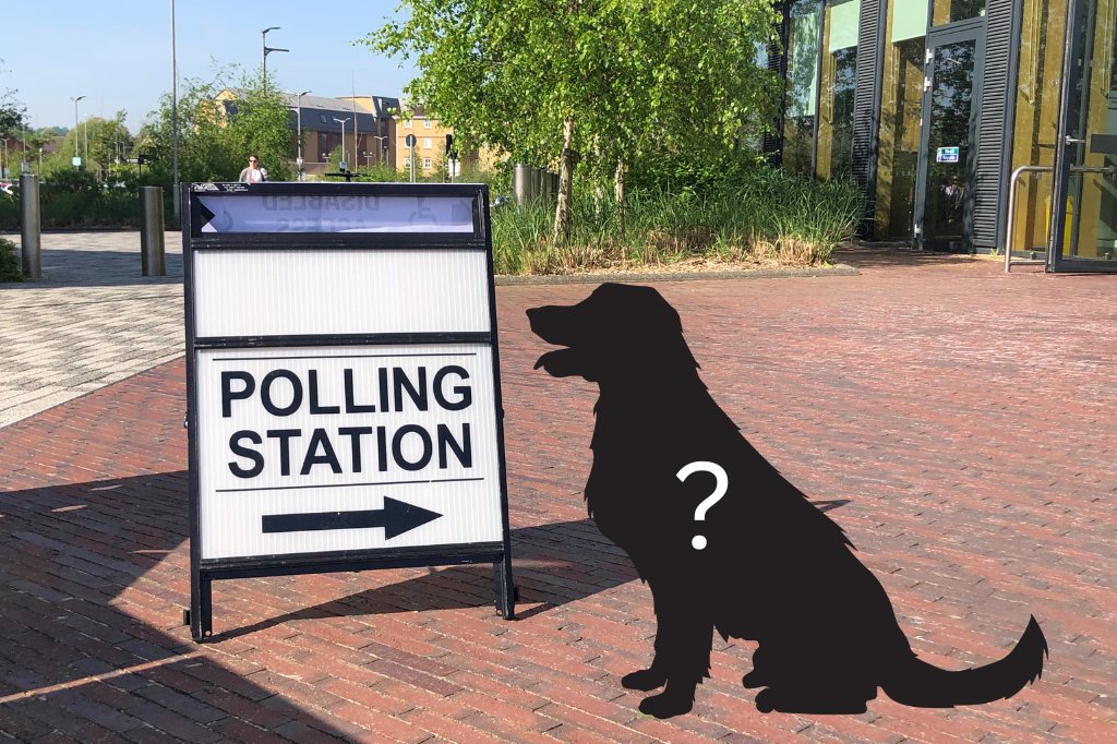 UniofNorthamptonNews (@uninhantsnews) on Twitter photo It's still early doors, but we're noticing a distinct lack of #DogsAtPollingStations* pictures here <a href="/UniNorthants/">UniofNorthampton</a> Creative Hub 👀
Feel free to tag us in your tweets as you cast your vote today and have your say in the #LocalElections
*#CatsAtPollingStations also welcome. It's still early doors, but we're noticing a distinct lack of #DogsAtPollingStations* pictures here <a href="/UniNorthants/">UniofNorthampton</a> Creative Hub 👀
Feel free to tag us in your tweets as you cast your vote today and have your say in the #LocalElections
*#CatsAtPollingStations also welcome.