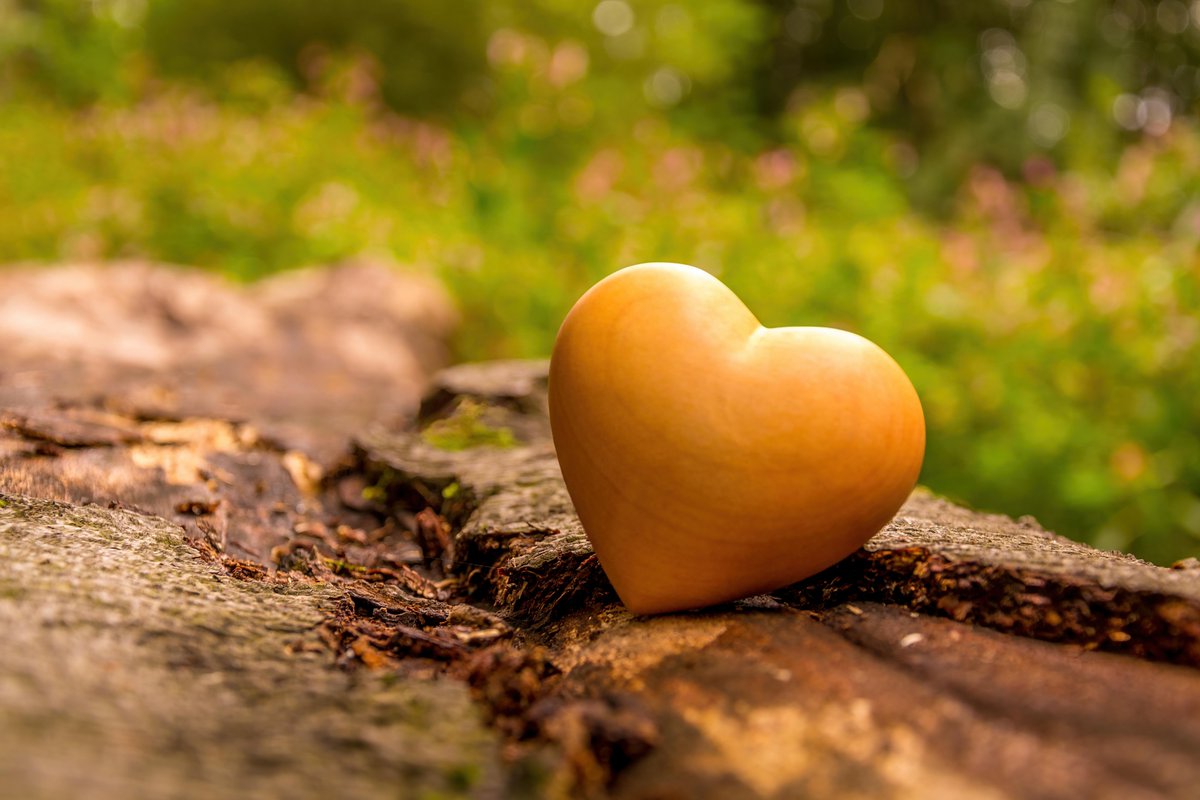 🎉 Nieuwegein bruist van de marktgezelligheid! 🧺 📍 Waar zie jij ons deze week?
🛍️ Muntplein – Dinsdag 10:00-16:00 🍞 Vreeswijk – Donderdag 10:00-17:00 🥕 Citymarkt – Zaterdag 9:00-17:00
💻 Check: marktennieuwegein.nl voor alle info! #MarktenNieuwegein #Citymarkt