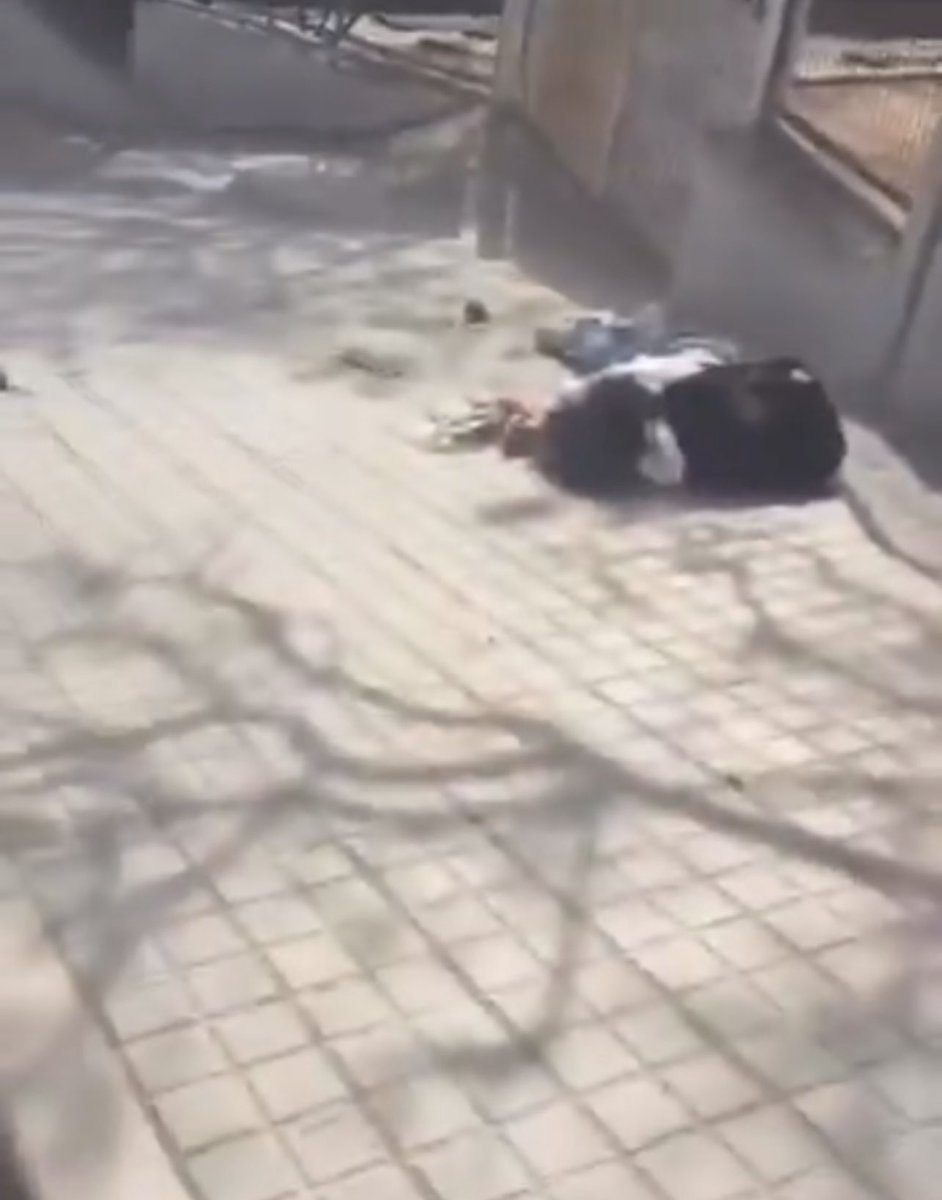 Esto ha pasado recientemente en Mataró, una ciudad de la provincia de Barcelona. Al parecer, lo que empezó como un pique en redes sociales acabó en una agresión física que dejó a la víctima con tres costillas rotas. Hay un conflicto entre alumnos de dos institutos. El agresor es