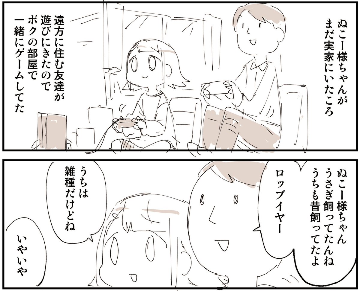 ぬこー様ちゃん@ロードバイク狂 (@nukosama) / X ぬこー様ちゃん@ロードバイク狂 (@nukosama) / X