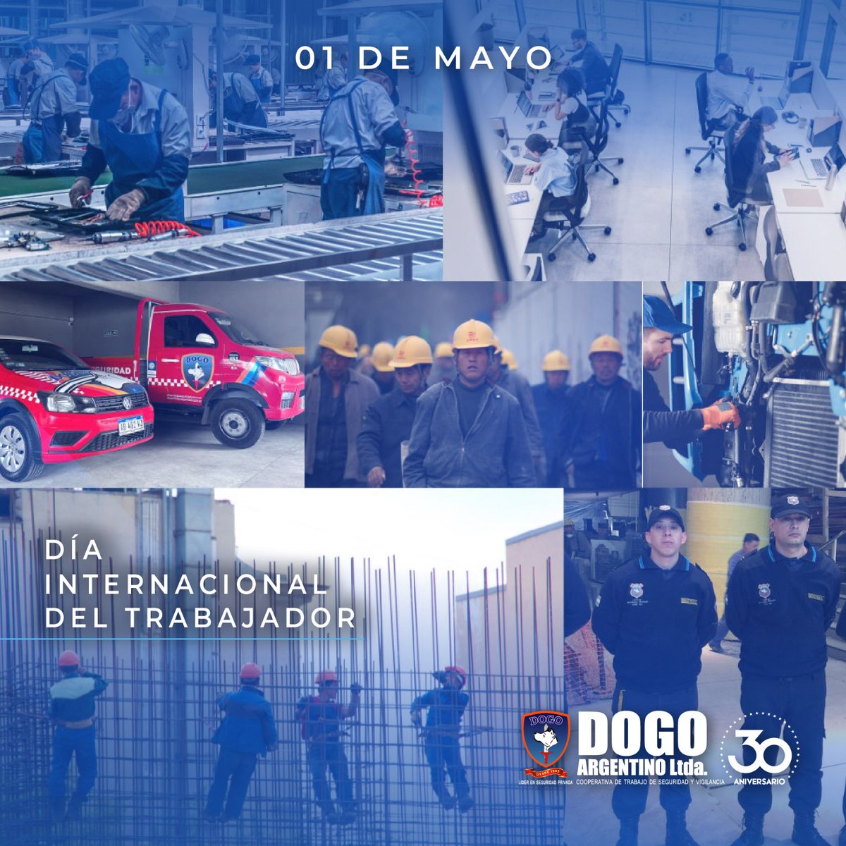 Dogo Seguridad Coop. Ltda. tweet media