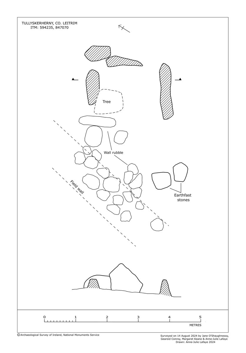 2 previously unrecorded Megalithic tombs in Tullyskeherny, near #Rossiver, Co Leitrim. One is a court tomb, the other unclassified, but known locally as a ‘Giant’s Grave’. More rediscoveries forthcoming.
👉tinyurl.com/5cjrbtpy
#ArchaeologicalSurvey #HeritageIreland2030