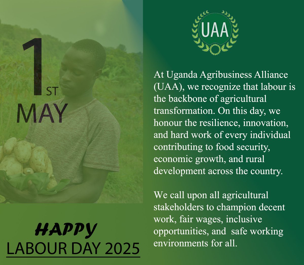 Agricultural labour is more than just work — it’s a legacy of resilience, growth, and nation-building!
This Labour Day, we at #UAA celebrate the hands and hearts driving Uganda’s agricultural sector forward. Your dedication fuels our nation’s food security and economic strength.