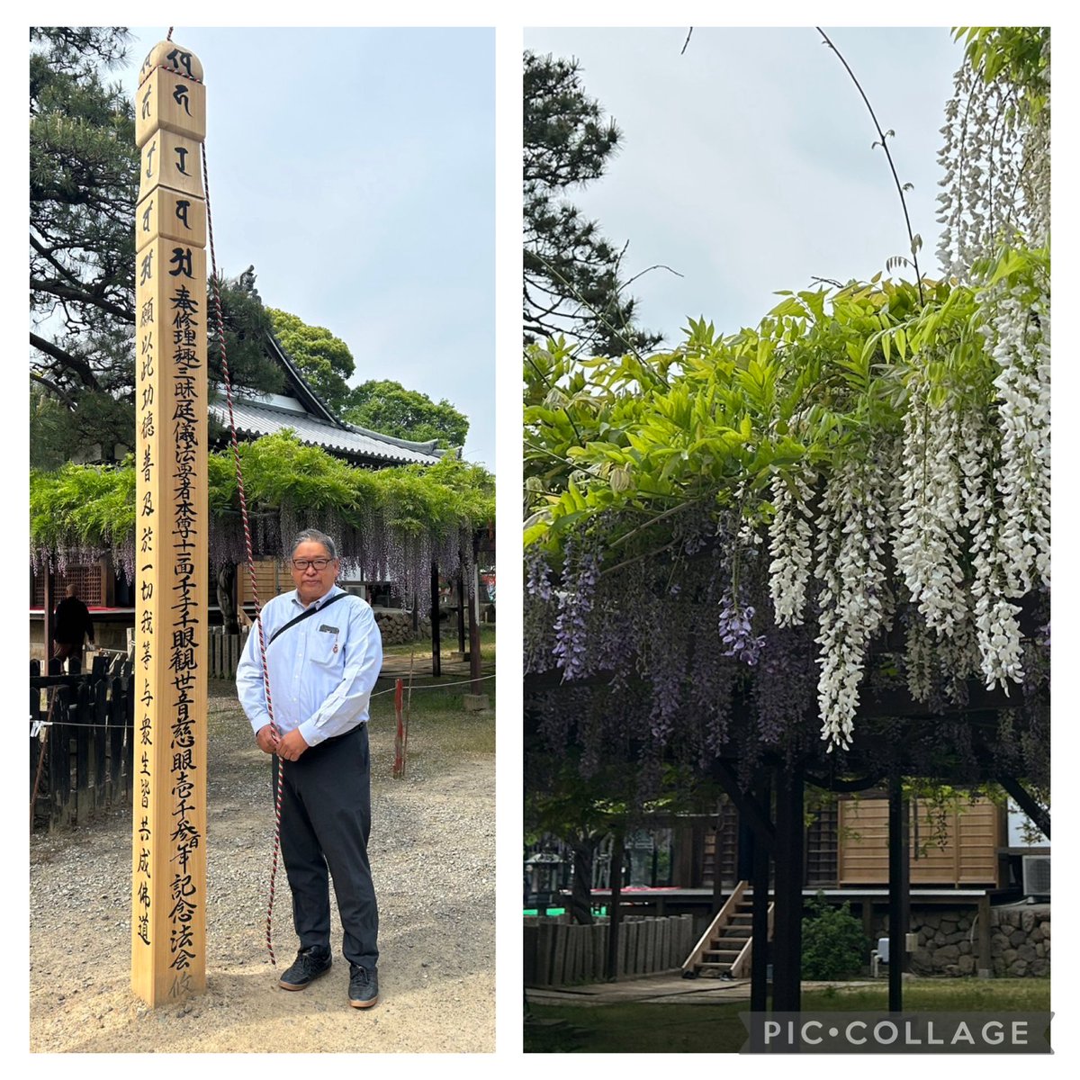 2019fujiidera's tweet photo. 今日から五月、氏神さま観音さまへの朔日まいりからスタート！
ピンクリボン大阪の冨尾理事長に訪問頂きました、女性がんの検診受診率の向上、早期発見.早期治療の啓発活動にご尽力頂きありがとうございます。
#藤井寺市
#fujiidera
#domyoji https://t.co/HjqkxrQTVU
