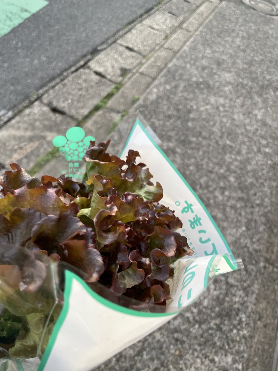 花束を抱えて歩いた