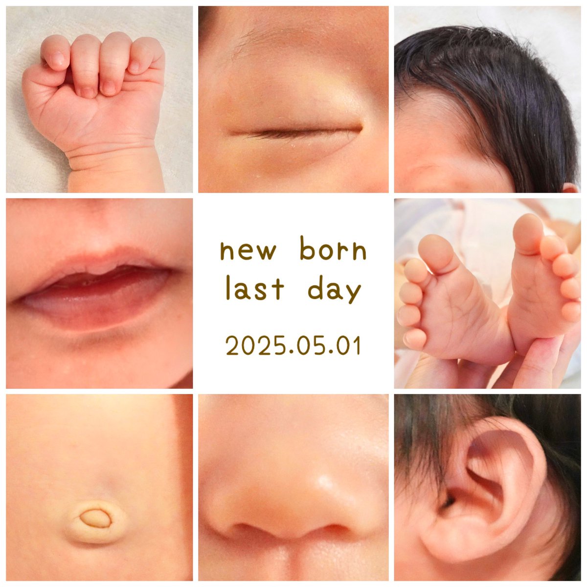 新生児ラストDay👶🏻💗

あっという間の新生児期間
娘が生まれて毎日本当に幸せ☺️🫶🏻

最初の1ヶ月が大変って聞いてたけど、
かわいい尊い幸せの方がかなり上回ってた💕

腕の中に収まる小ささがかわいすぎて
ずっと新生児でいて欲しいくらいだよ🥹