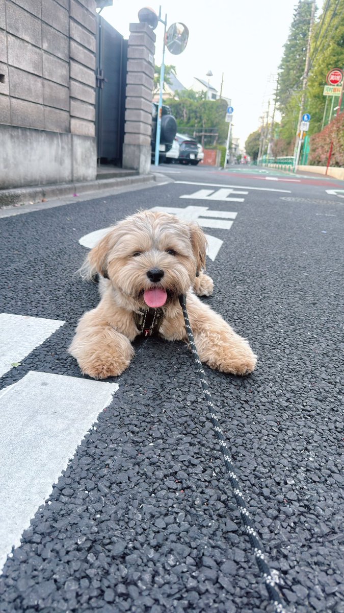sacca45's tweet photo. いつも通りの展開 https://t.co/HPxvAprTq1