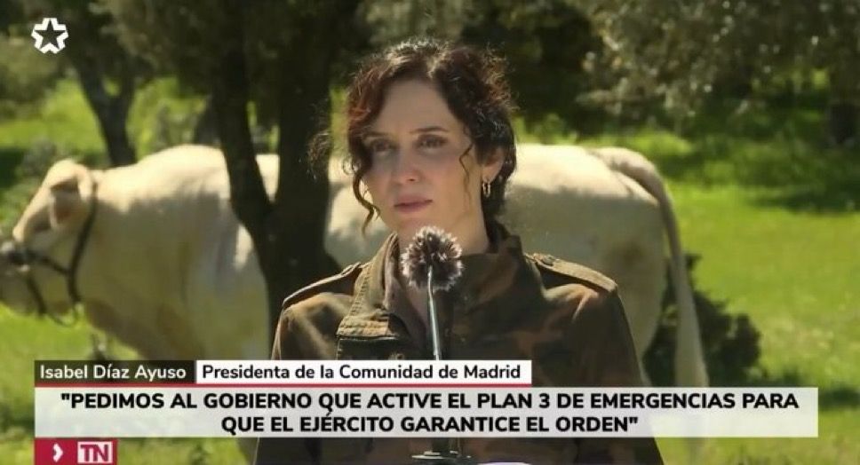 RLCar34's tweet photo. Mientras Sánchez a la hora del apagón estaba en la sede de red eléctrica, formando un gabinete de crisis .
Está señora se reunía con una vaca y empezaba a decidir gilipolleces.
Después vienen los muertos cuando ellos gobiernan https://t.co/MRgEGPJwiT