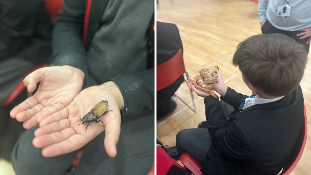 The Chalk Hills Academy (@tsltchalkhills) on Twitter photo Our students had a fantastic time at the recent Zoo Lab workshop. They explored fascinating topics like adaptations and biodiversity, all while meeting and handling a range of amazing animals, including snakes, spiders, geckos, and even tree frogs! 🐍
<a href="/advschools/">Advantage Schools</a> Our students had a fantastic time at the recent Zoo Lab workshop. They explored fascinating topics like adaptations and biodiversity, all while meeting and handling a range of amazing animals, including snakes, spiders, geckos, and even tree frogs! 🐍
<a href="/advschools/">Advantage Schools</a>