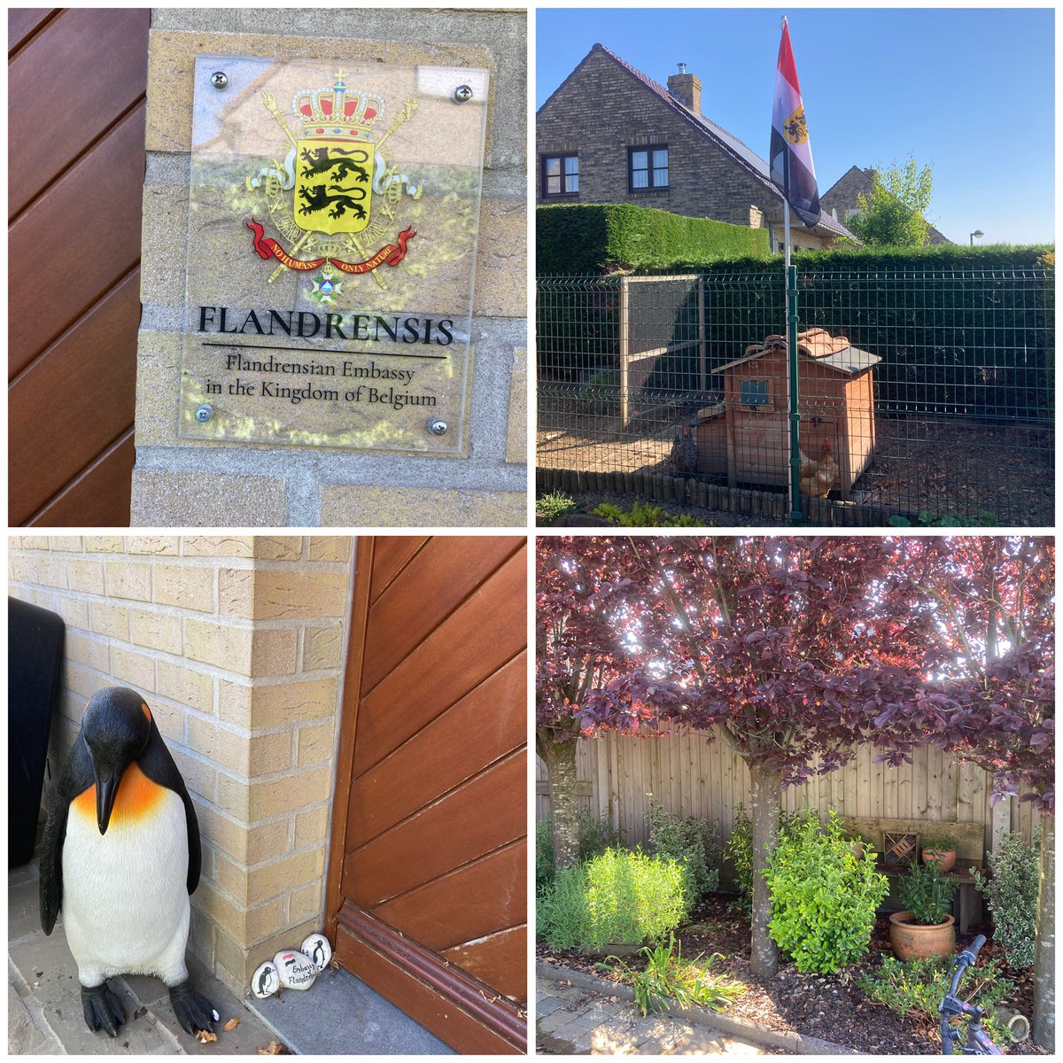 Summer vibes at the Crown Dependency of Prinsenhof/ Belgian Embassy 🇧🇪🌷🪴🐓🐝 #micronation
