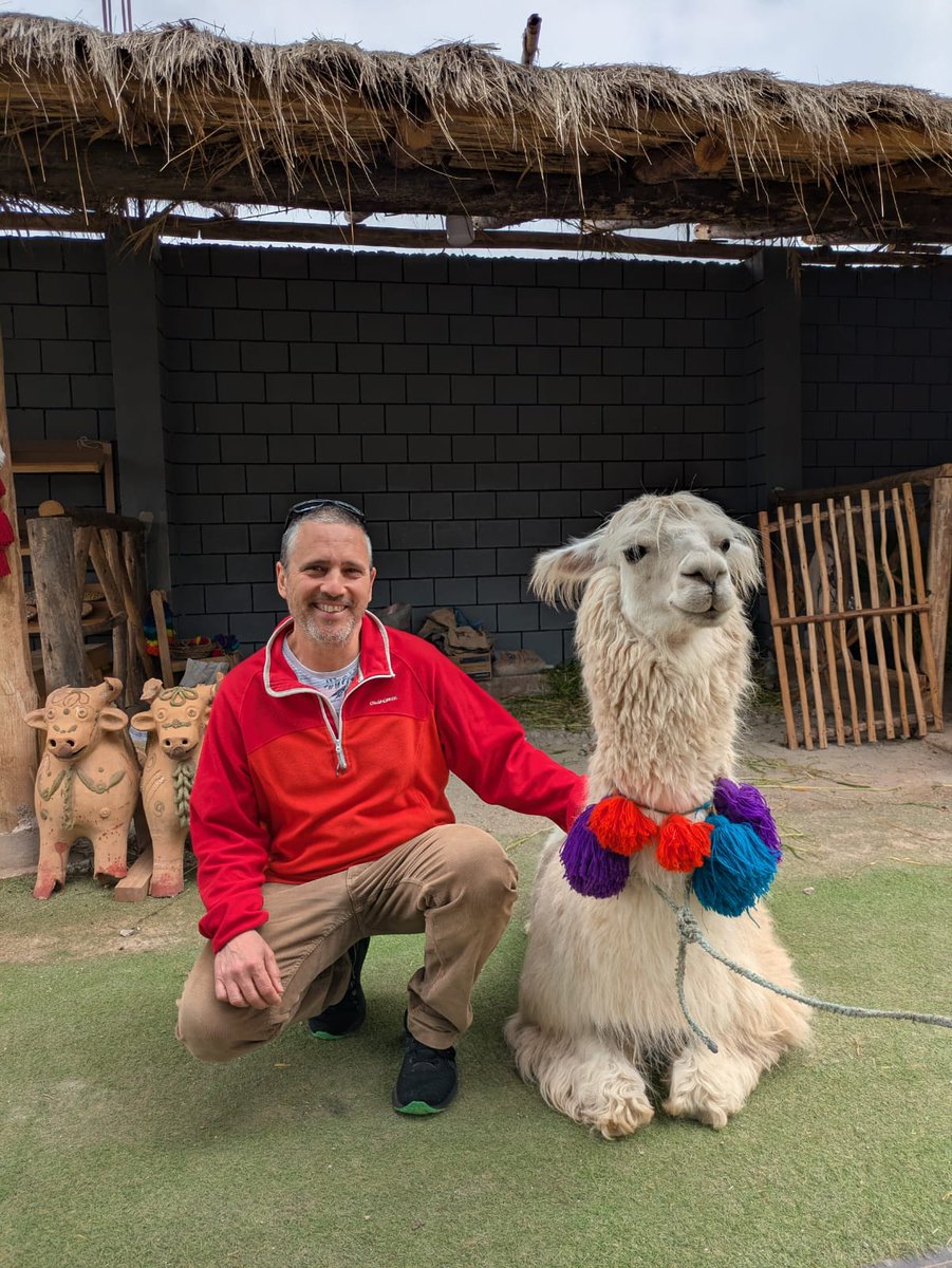 They’re back! 👏
Our brilliant team members Jesús López and Richie Lalor had an incredible trip to the Peruvian Andes, working with Dr. Miguel Cabada’s fantastic group and applying ELISA techniques to diagnose human fasciolosis.