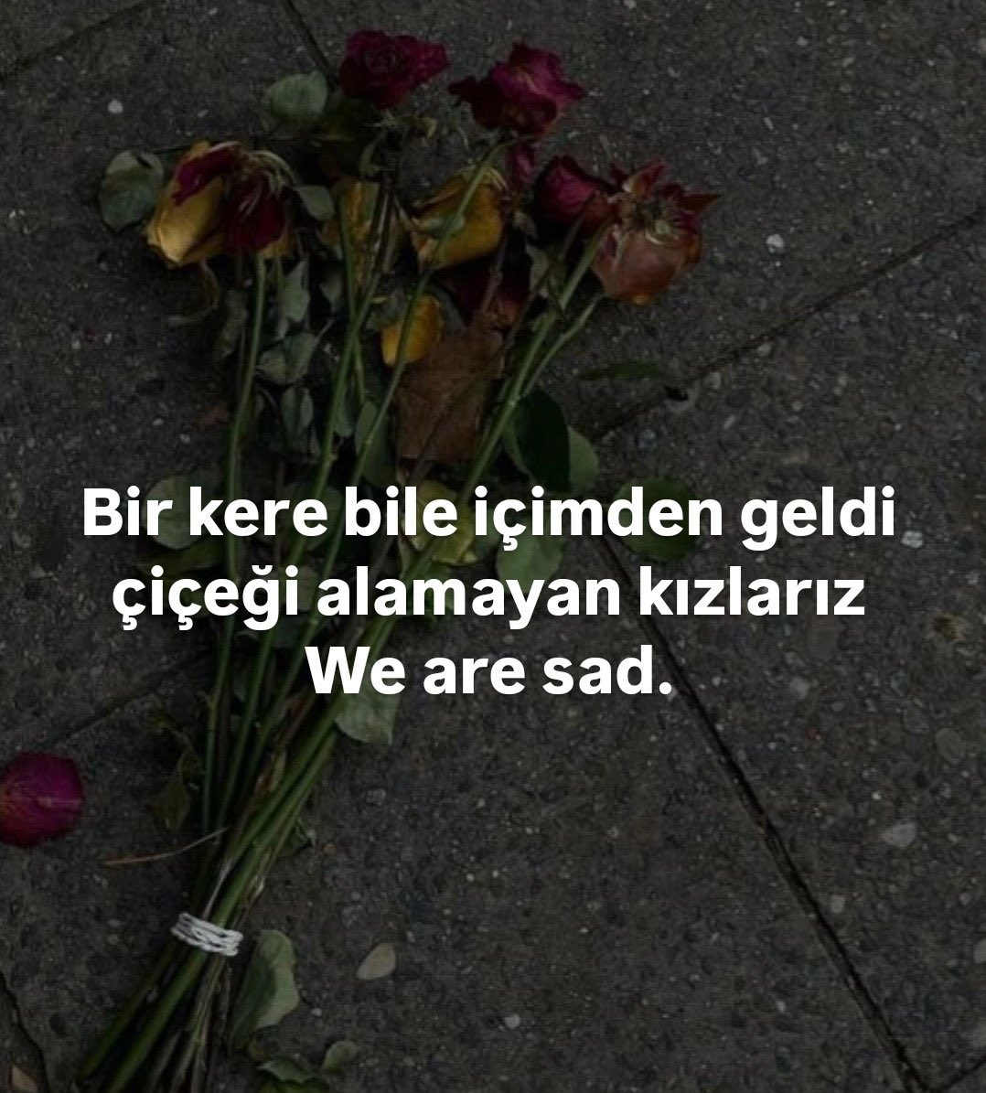 Delinindelisii 🐼 (@delinindelisi0) on Twitter photo 